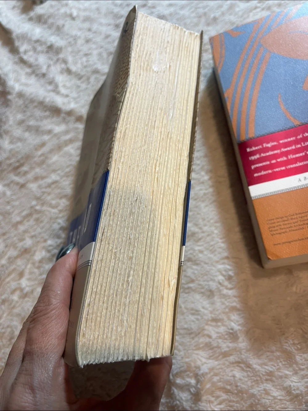 Classic Homer Paperback Set – The Iliad & The Odyssey